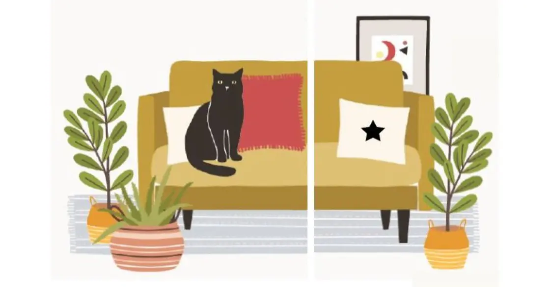 Photo design d'harmonie avec le chat sur le canapé